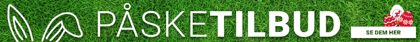 promo-banner