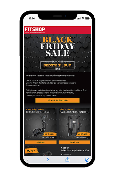 Smartphone showing newsletter content